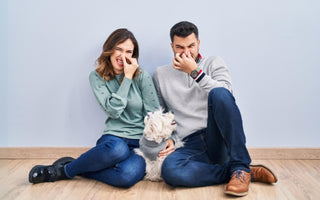 How to Get Rid of Stinky Dog Breath
