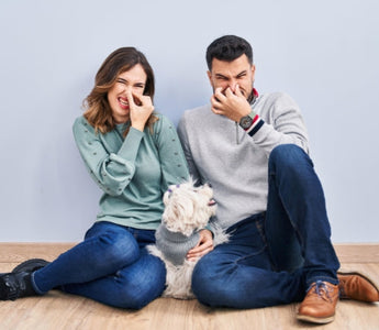 Couple holding their noses near a small white dog