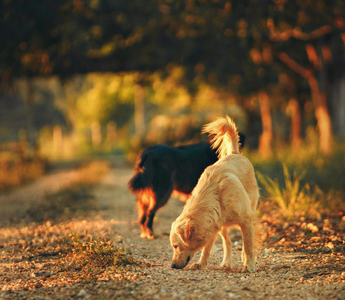 Finding Peace: Understanding the Timing of Letting Go