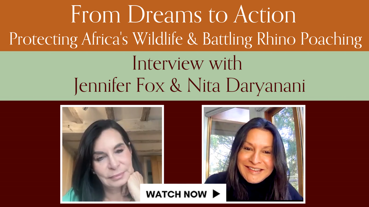 From Dreams to Action: Jennifer Fox on Protecting Africa's Wildlife and ...