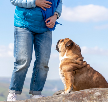 A person in jeans and a blue jacket stands on a rock overlooking a valley, with a brown English Bulldog sitting beside them.