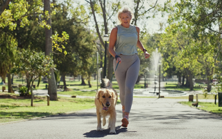 How You Should Use PEMF Therapy to Increase Sports Performance in Your Pet?