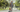 Woman jogging with golden retriever in park