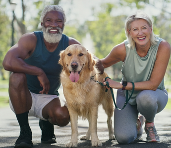 Happy senior couple squatting with their Golden Retriever dog in a park.