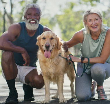 How PEMF Therapy Supports Muscle Growth and Repair in Pets?