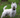A Heartfelt Letter to My Beloved Pet: Love Beyond Goodbye