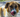 Letting Go of Guilt After Losing a Pet