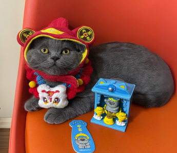 Gray cat in red Chinese New Year outfit sits on orange chair with festive figurine.