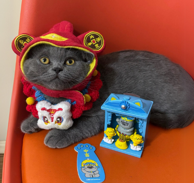 Gray cat in red Chinese New Year outfit sits on orange chair with festive figurine.