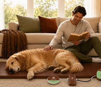 Wellness for Pets and the People Who Love Them