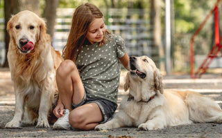 Should you get a second dog?