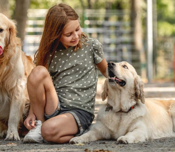 Girl sitting with two Golden Retrievers in a park