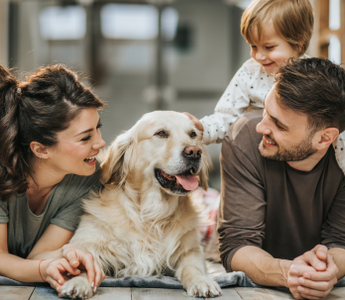 Family and golden retriever enjoying a moment of connection, highlighting the power of dog bonding with humans.