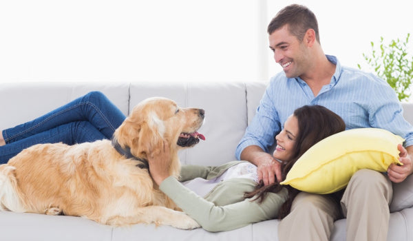 Therapeutic Effects of Having Pets