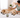 Muscle Stiffness in Dogs: Healthy Habits and the Role of PEMF