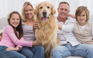 Top 10 Reasons to add a dog to your home