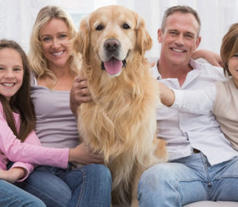 Happy family with Golden Retriever dog on couch