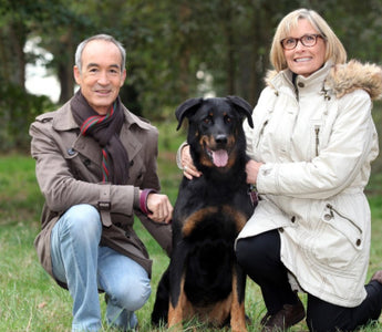 Top 5 Dog Breeds for Seniors and Retirees