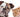 Close-up of a Bulldog and ginger cat