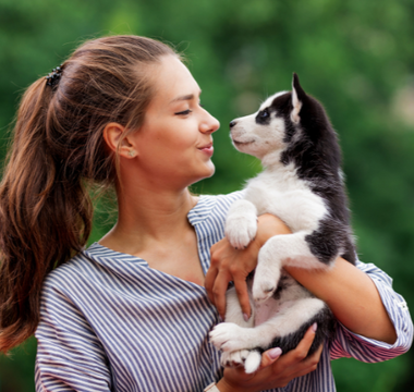 Understanding Your Pet's Behavior: A Guide for Pet Parents