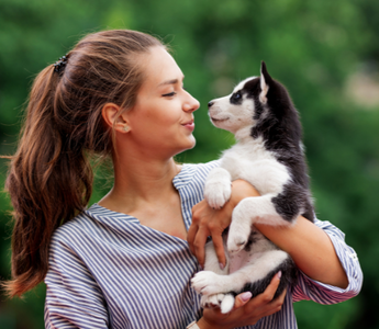 Young woman holding an adorable Siberian Husky puppy