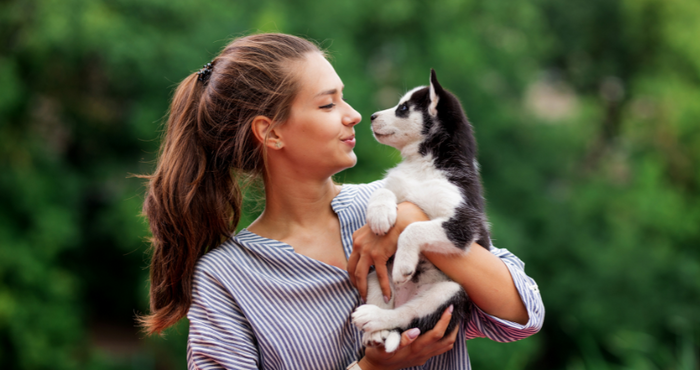 Understanding Your Pet's Behavior: A Guide for Pet Parents