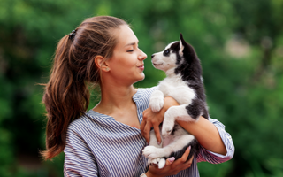 Young woman holding an adorable Siberian Husky puppy