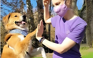 Pawrent Spotlight: Hailey and Darrel