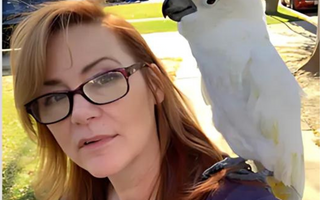 Pawrent Spotlight: Dedee Pfeiffer