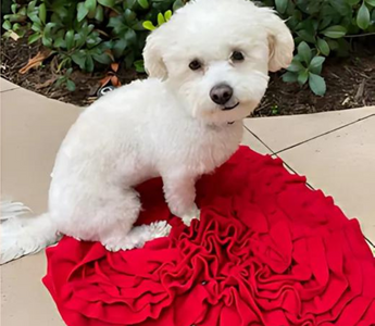 The Benefits of Snuffle Mats for Dogs