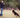 Struggling With Dog Training? Here’s What Actually Works