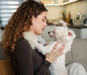 Woman gently holding white poodle, promoting pet wellness with PEMF therapy.