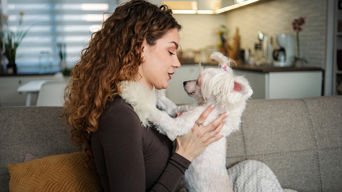 PEMF at Home: How to Create a Simple Wellness Routine for Your Pet
