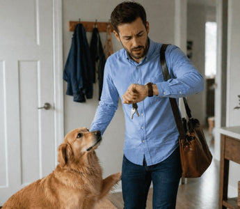 Do You Have Time for a Pet? A Honest Look at Daily Life