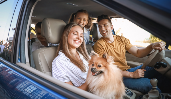What To Look for In a Pet Friendly Vehicle