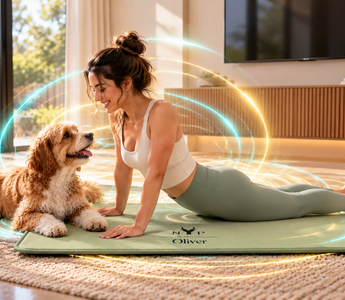 A Pet Parent’s Guide to Regular PEMF and Everyday Wellness