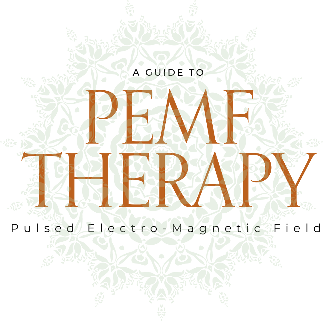 A Guide to PEMF Therapy – Nurture Your Pet