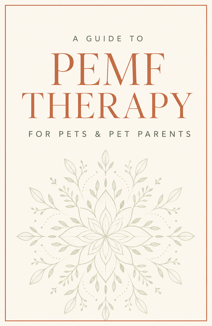 A Guide to PEMF Therapy eBook cover
