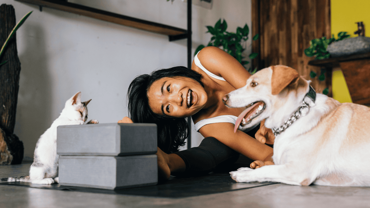 The Truth About PEMF for Pets: 6 Common Myths Explained