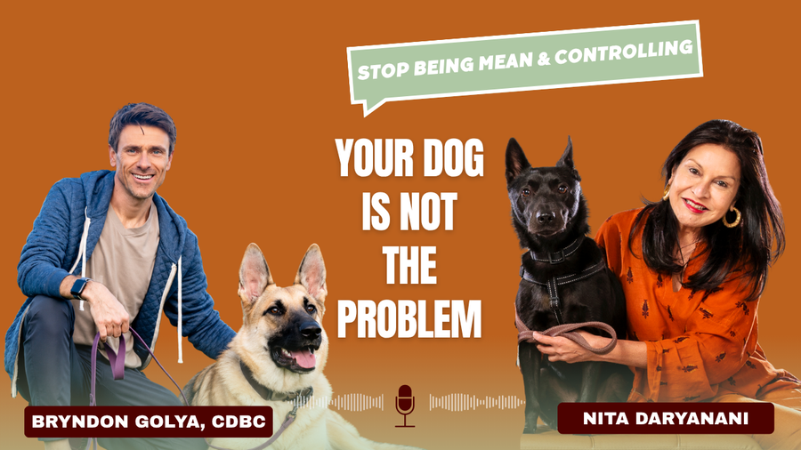 Your Dog Is Trying to Tell You Something