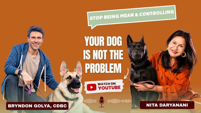 Why Your Dog Misbehaves & What They Actually Need | Bryndon Golya, CDBC
