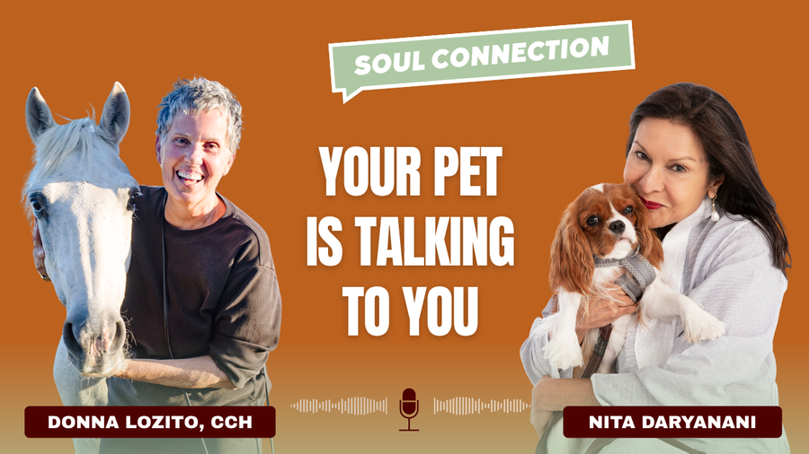 Can Your Pet Talk to You? Animal Communication, Soul Contracts & Healing
