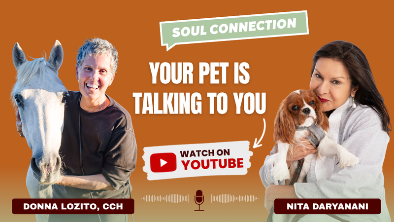 Can Your Pet Talk to You? Animal Communication, Soul Contracts & Healing | Donna Lozito, CCH