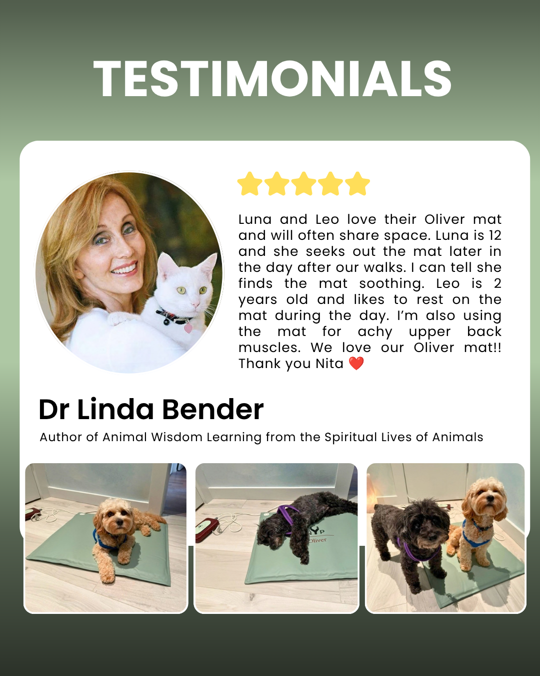 Customer testimonial