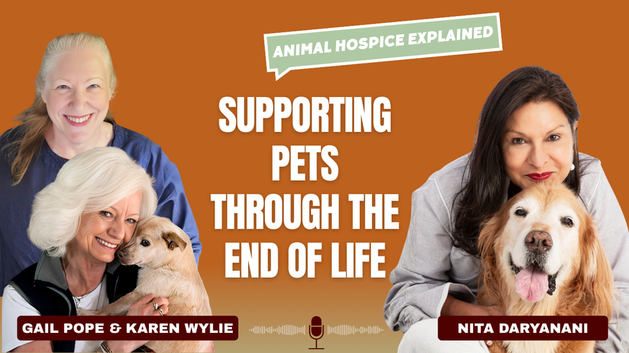 Animal Hospice &  End of Life Care for Pets