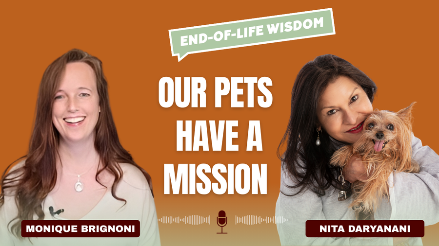 Pet Loss, Euthanasia & The Soul’s Journey