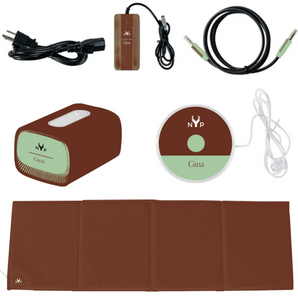 NYP Gina PEMF Device: Complete system including mat, control unit, power supply, and audio components for pulsed electromagnetic field therapy.