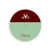 NYP Oliver PEMF Device:  Compact, two-toned device with a calming green and burgundy design.