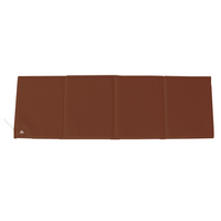 NYP Gina PEMF Device: NYP Gina brown foldable PEMF wellness mat