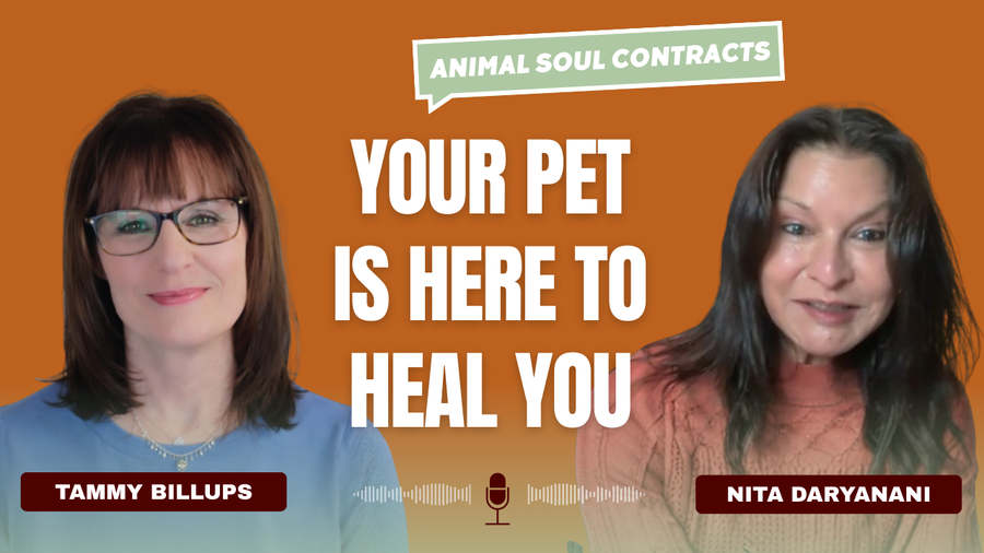 The Hidden Soul Contract Between You and Your Animal Companion